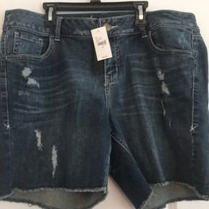 Lane Bryant Weekend-shorts (New) 16